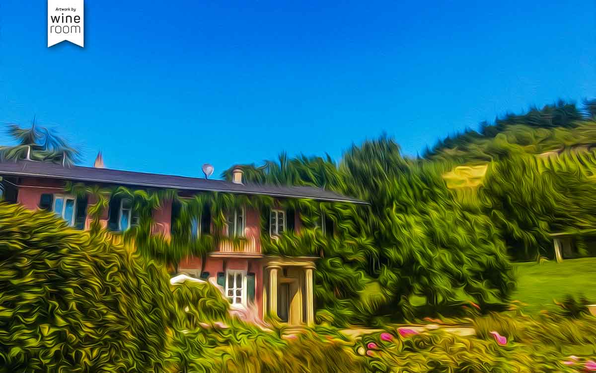 Haus aus Stampfbeton bei Weingut Cantzheim